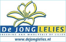 Hồ sơ công ty cung cấp củ giống hoa ly ở Hà Lan (P8)